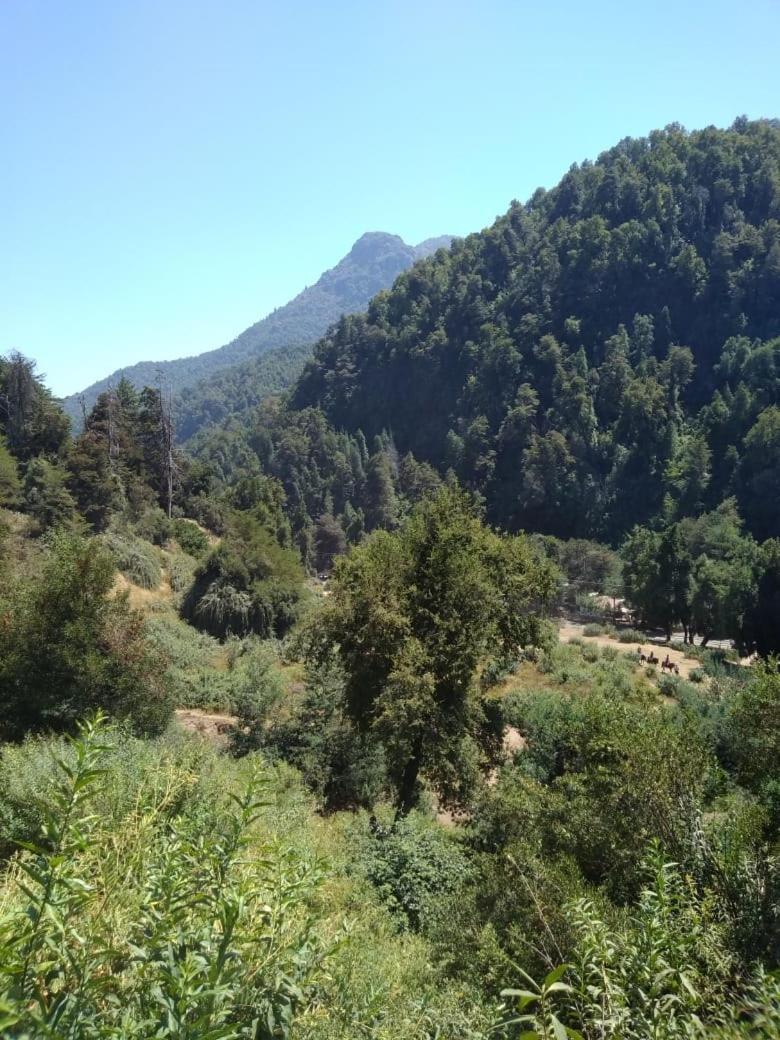 Cabanas El Toro - Radal Siete Tazas Molina  Buitenkant foto